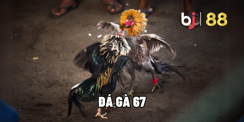 da ga 67 1