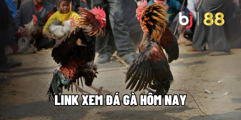 link xem da ga hom nay 1